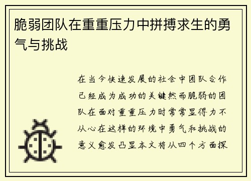 脆弱团队在重重压力中拼搏求生的勇气与挑战