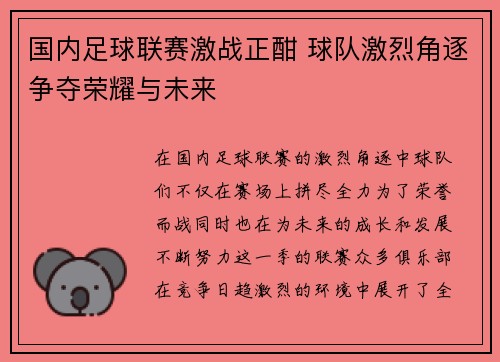 国内足球联赛激战正酣 球队激烈角逐争夺荣耀与未来
