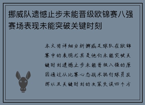 挪威队遗憾止步未能晋级欧锦赛八强赛场表现未能突破关键时刻