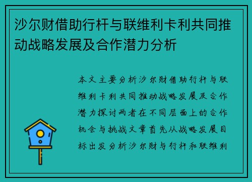 沙尔财借助行杆与联维利卡利共同推动战略发展及合作潜力分析