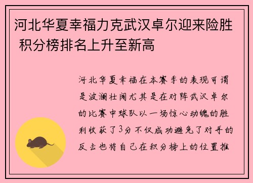 河北华夏幸福力克武汉卓尔迎来险胜 积分榜排名上升至新高